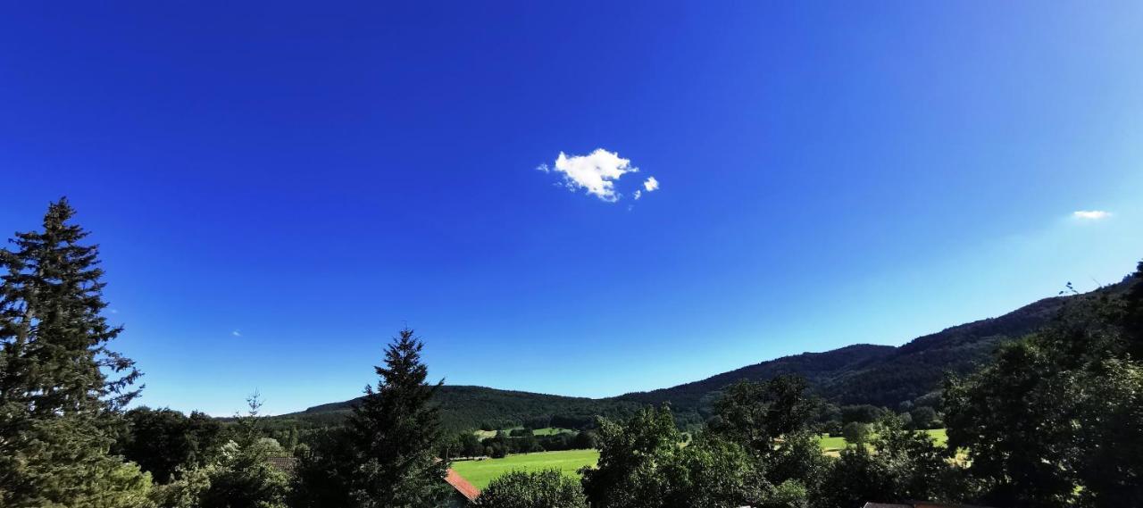 A L'Arbre Vert Wintzfelden Luaran gambar