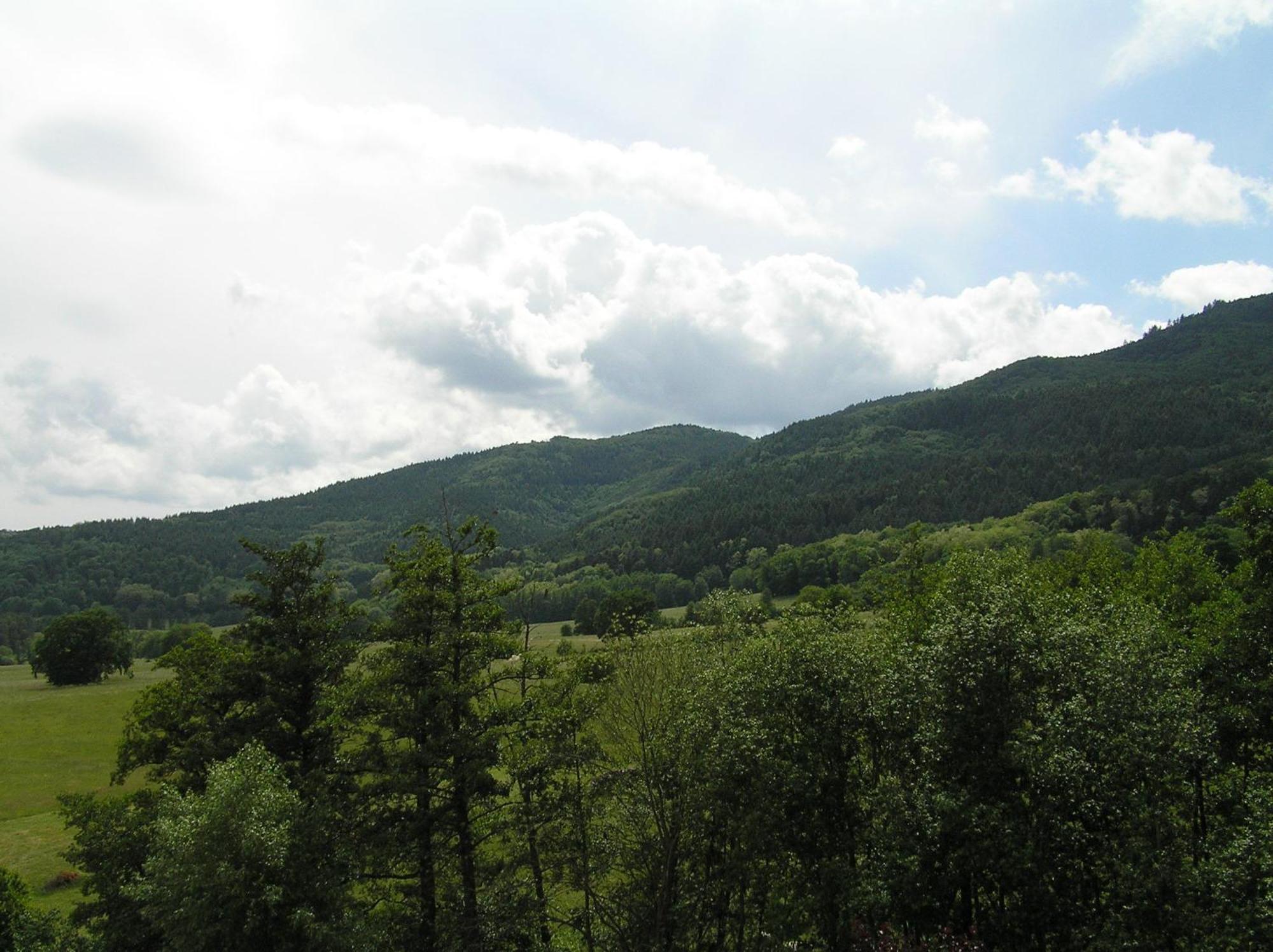 A L'Arbre Vert Wintzfelden Luaran gambar