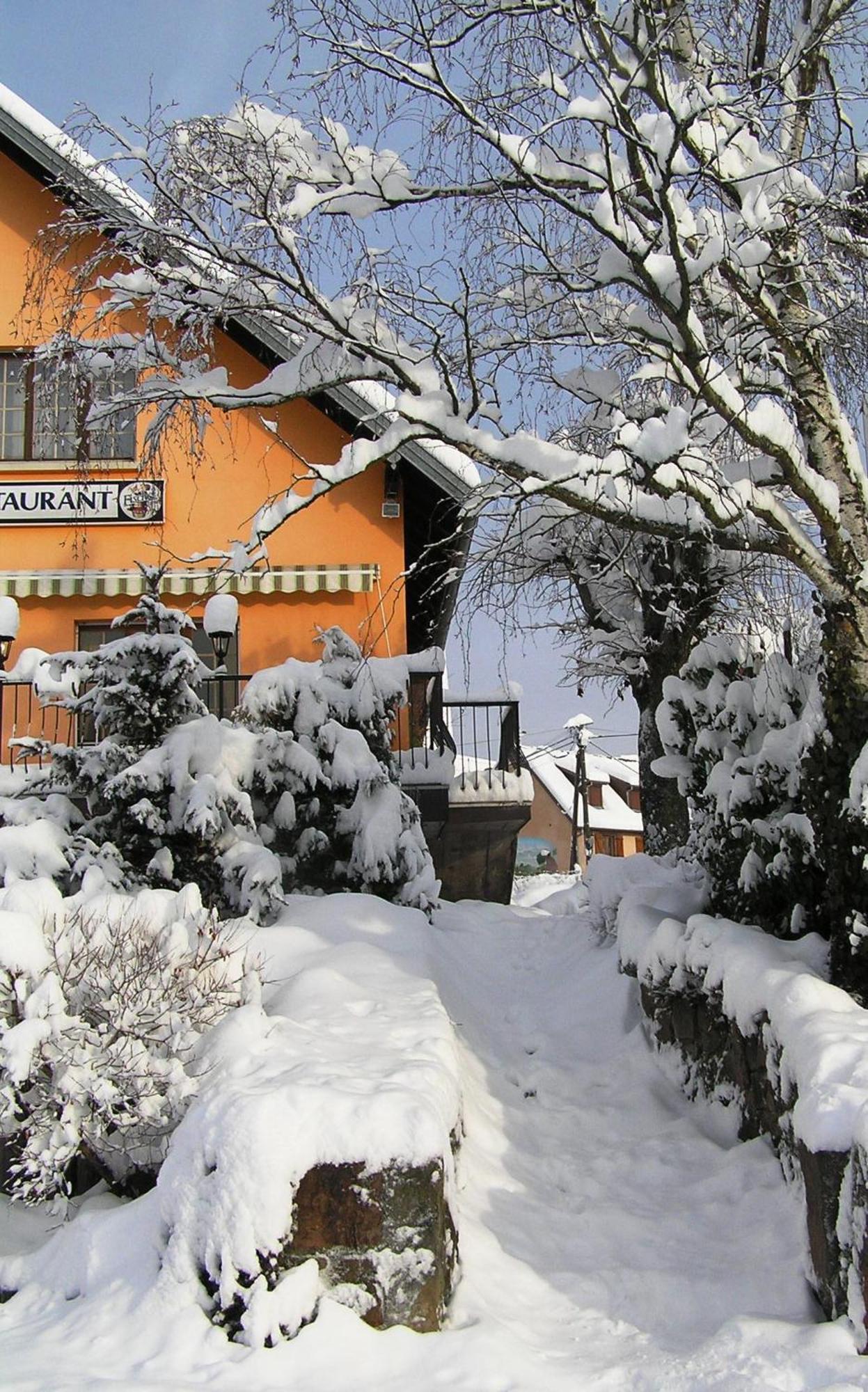 A L'Arbre Vert Wintzfelden Luaran gambar